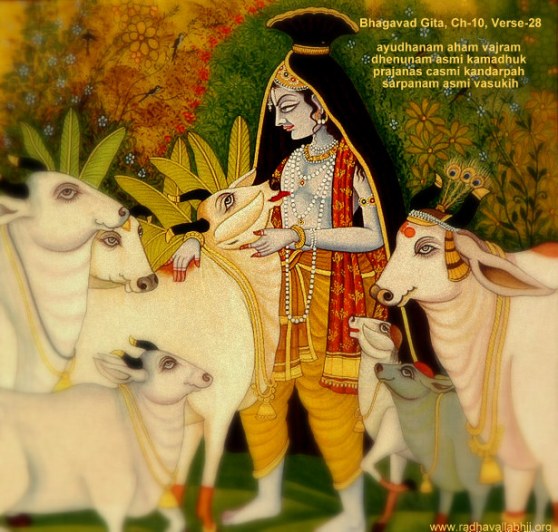 gopala_krishna